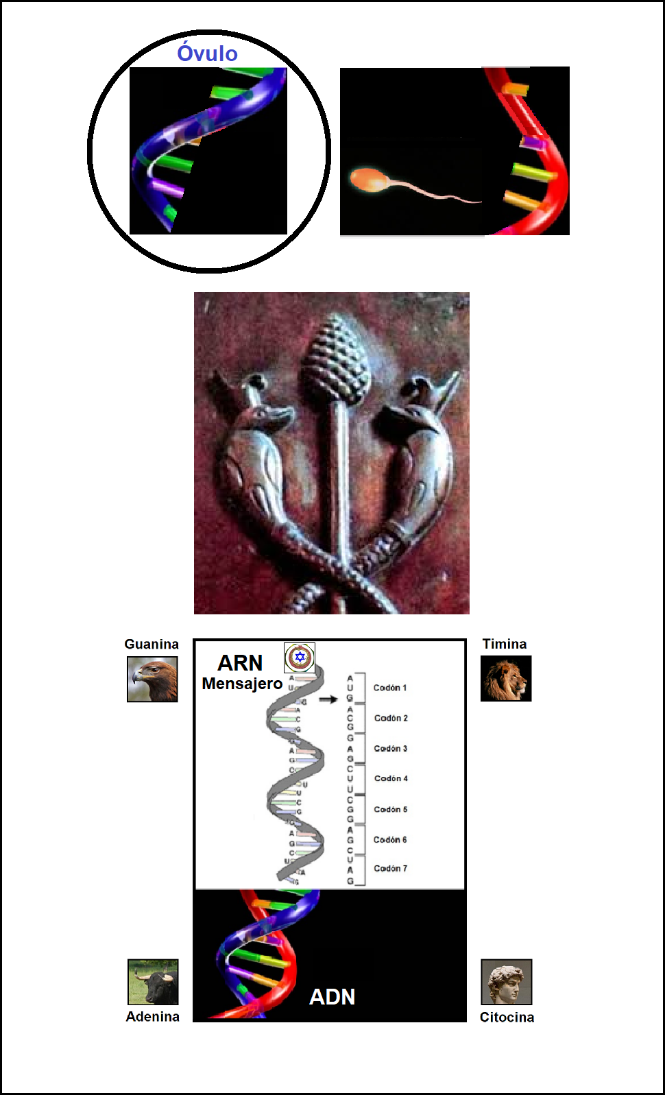 Imperio mundial de la profecia